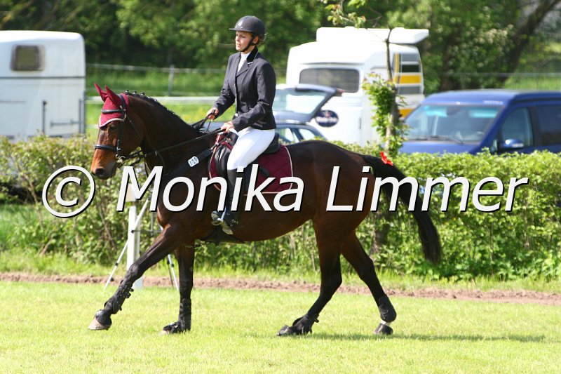 005M4294_Giantana_Stil A.JPG